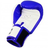 Боксерские перчатки Twins Special (BGVL-3-2T blue/white)